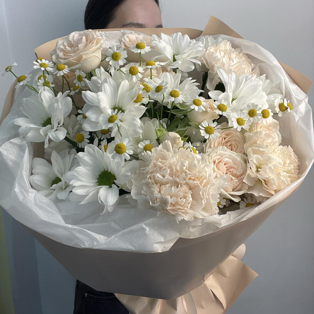 Прованс