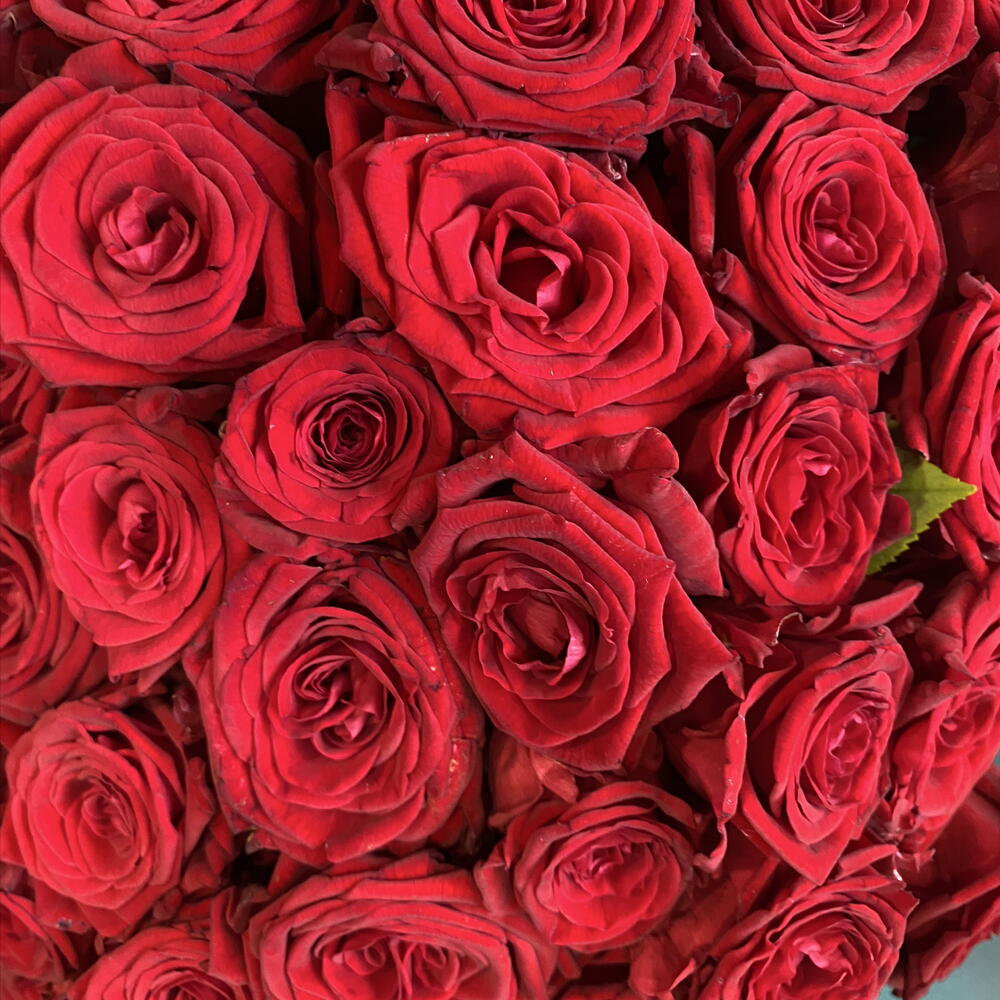 Букет из 101 красной розы 🌹