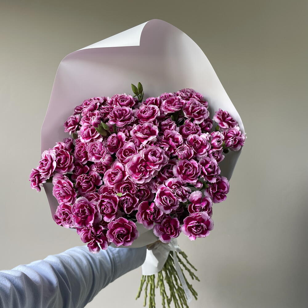 39 кустовых диантусов