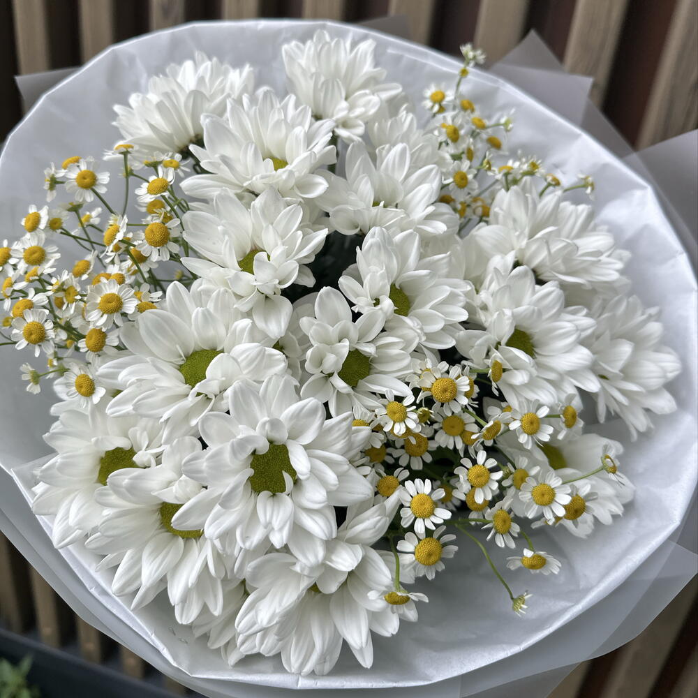 Букет Белые ромашки 🤍💛