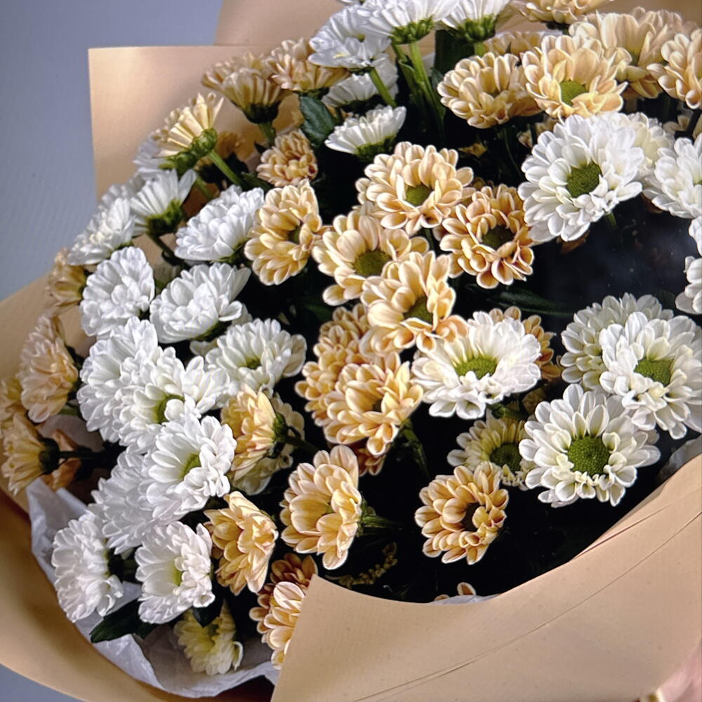 Нежный букет "Капучино" из сантини (49-0502)