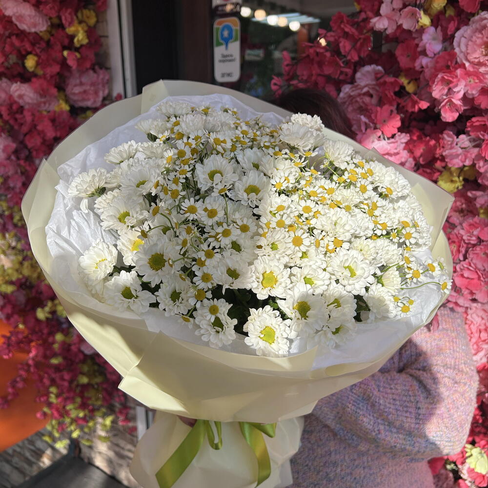 Хризантемы и ромашка🌸