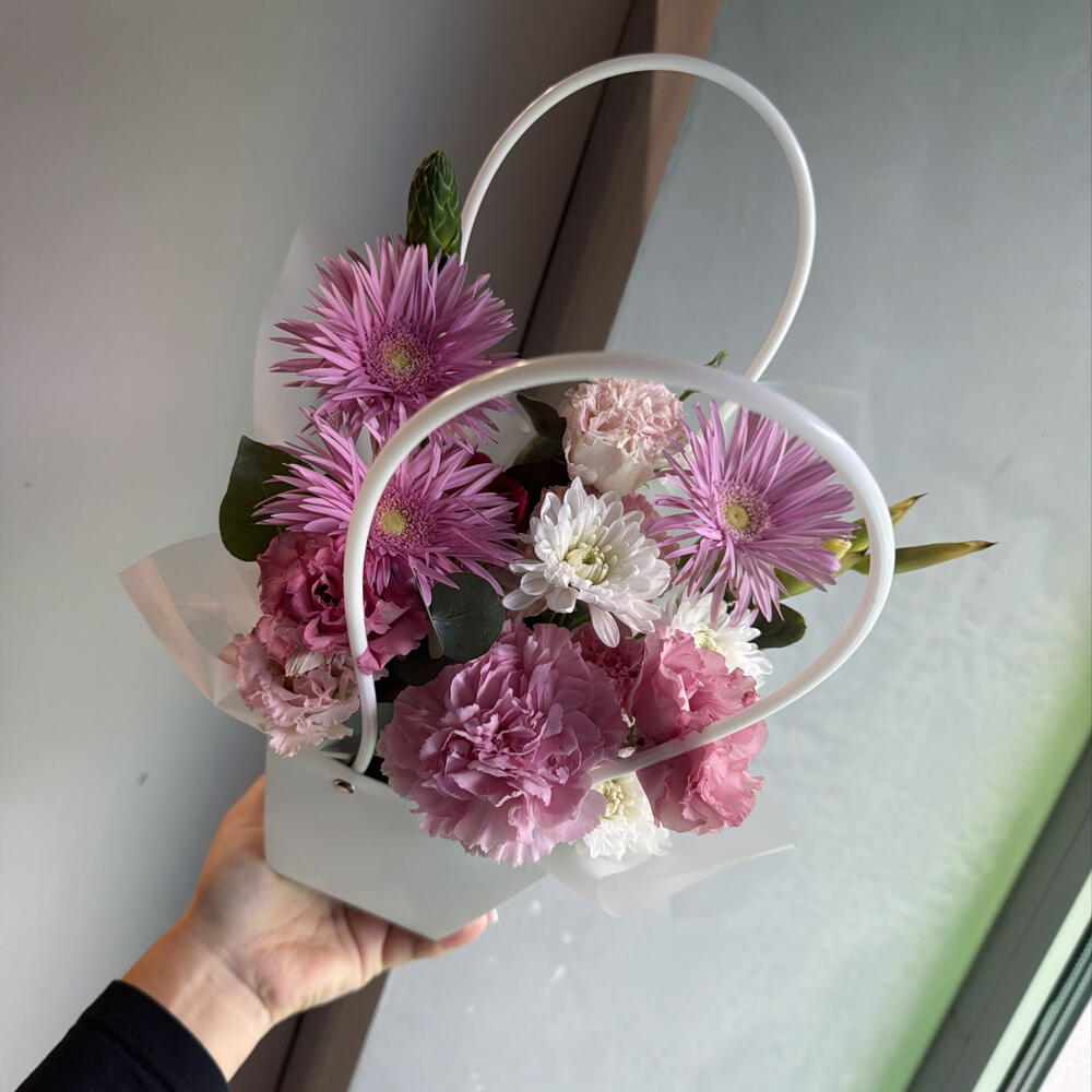 Сумочка с гермини 🌸