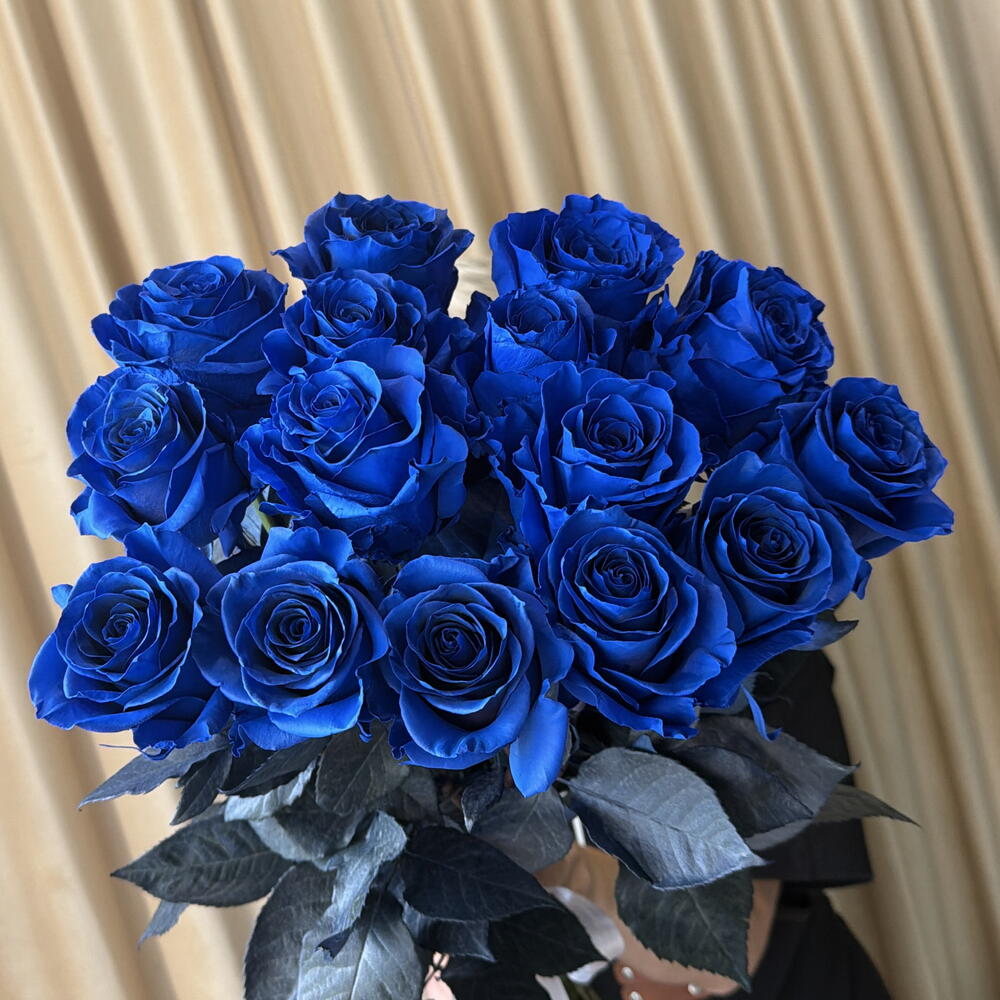 Синие розы 🌹 13 штук