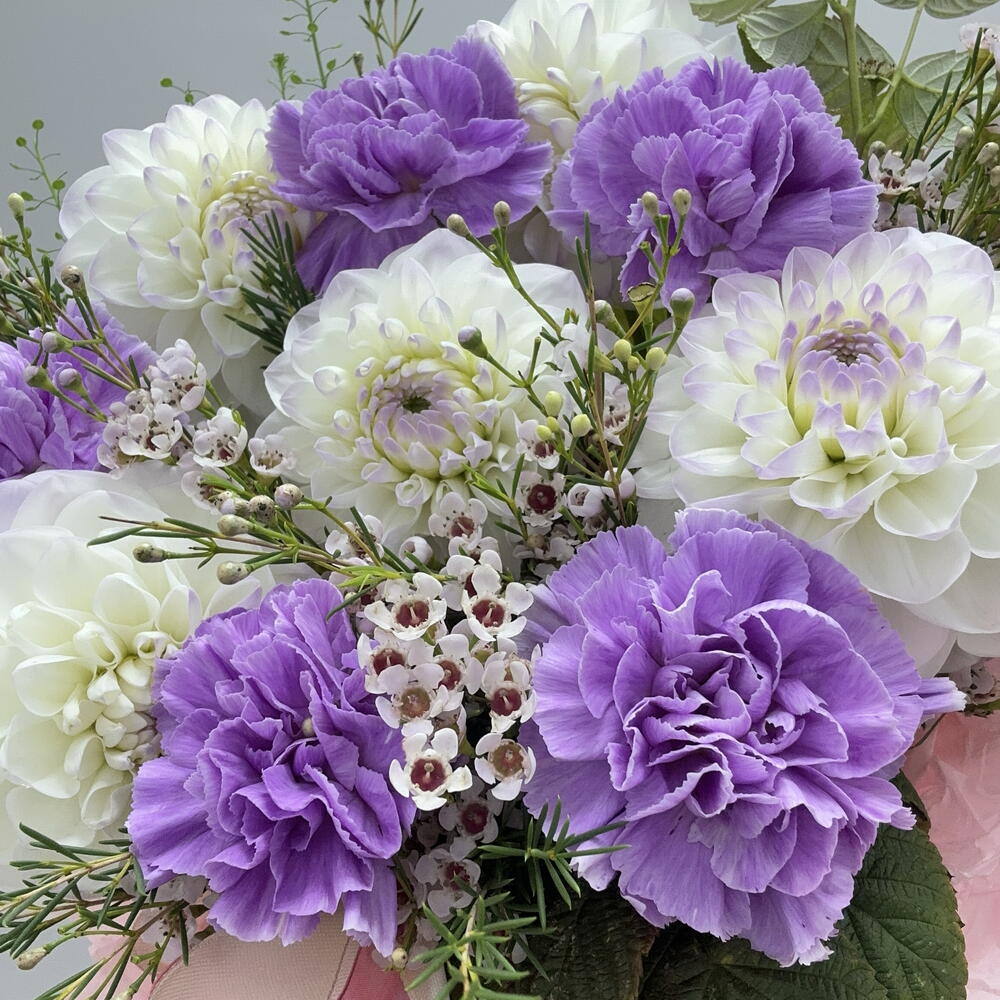 Коробка с диантусами💜