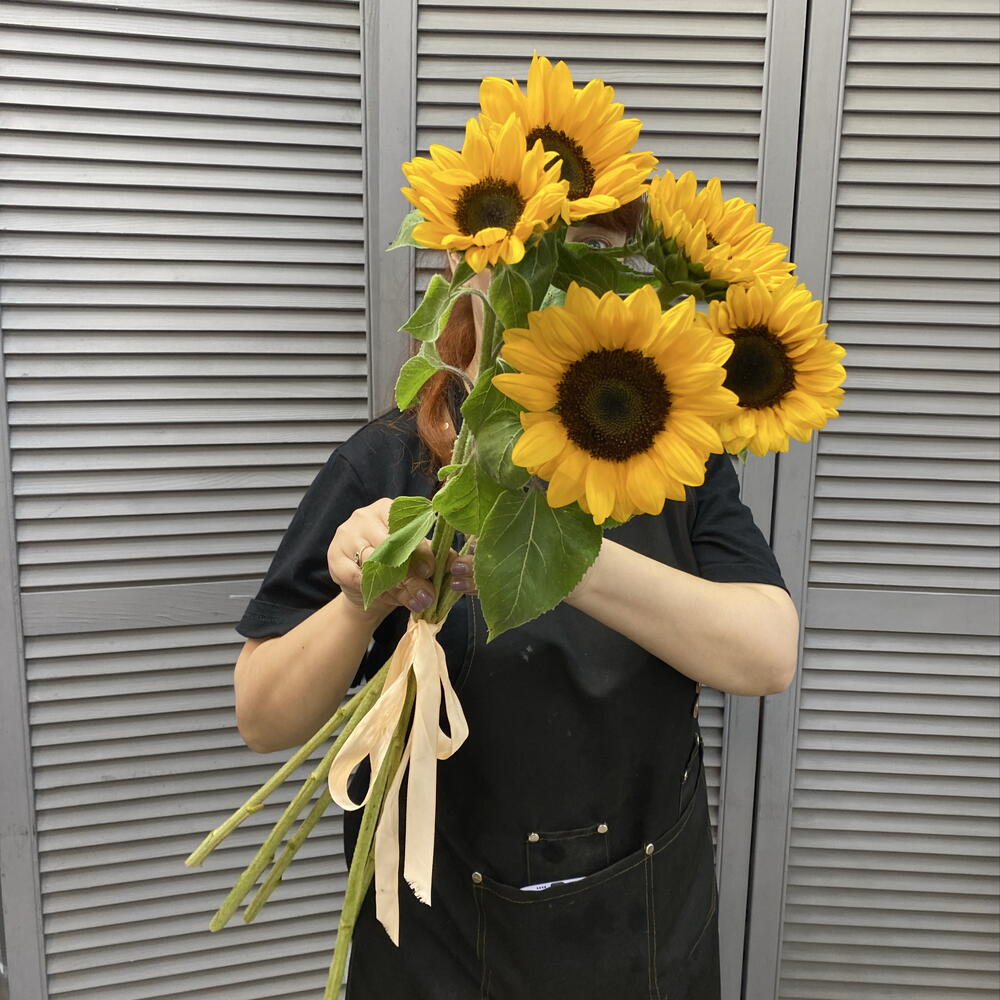 Подсолнухи 🌻