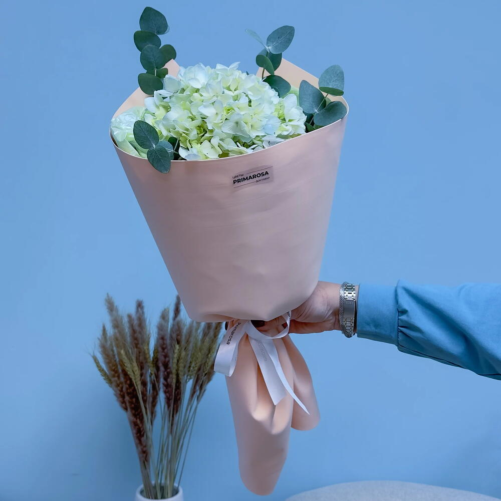 Букет из 1 зелёной гортензии с эвкалиптом «Свежесть»🌿 39978