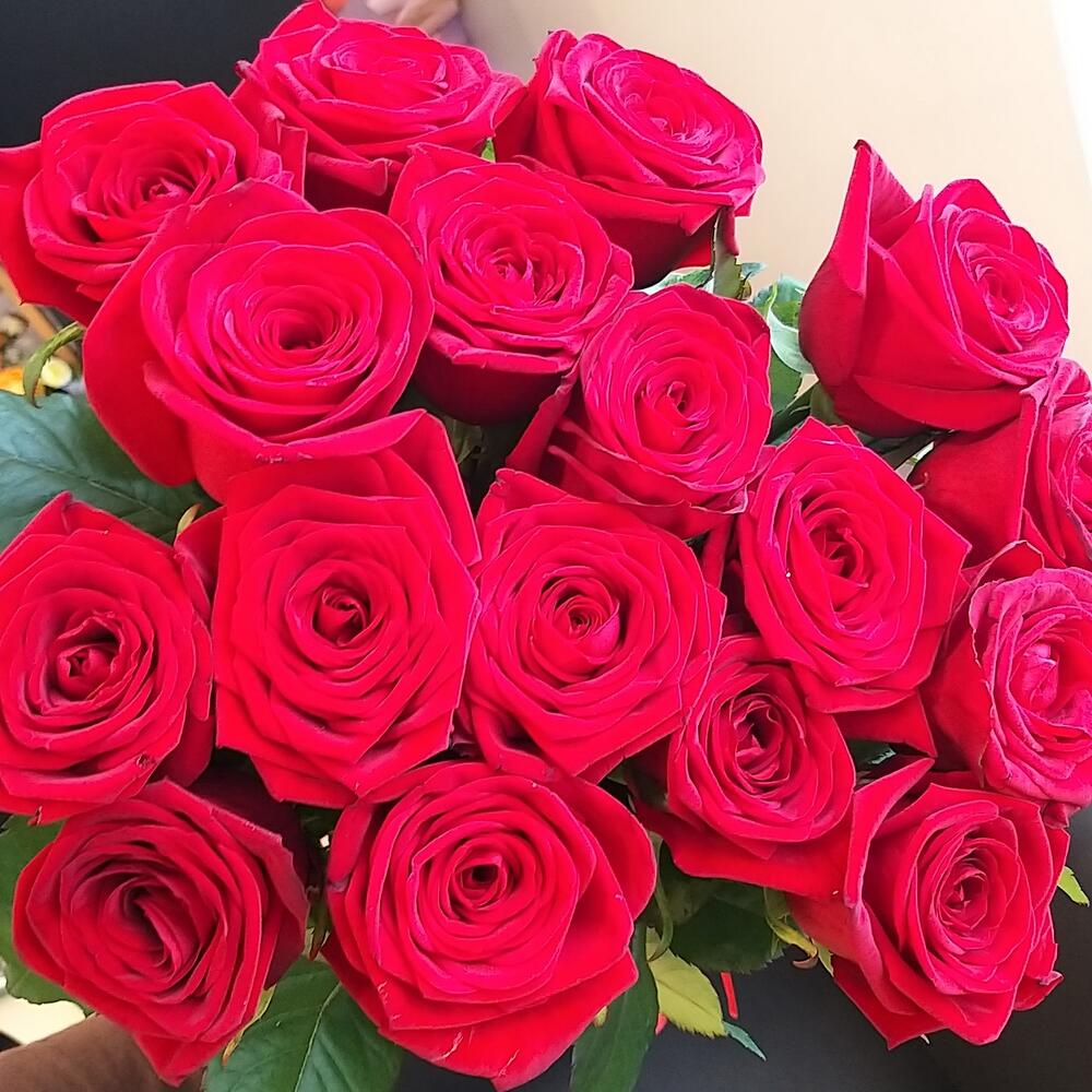 17 красных роз🥰