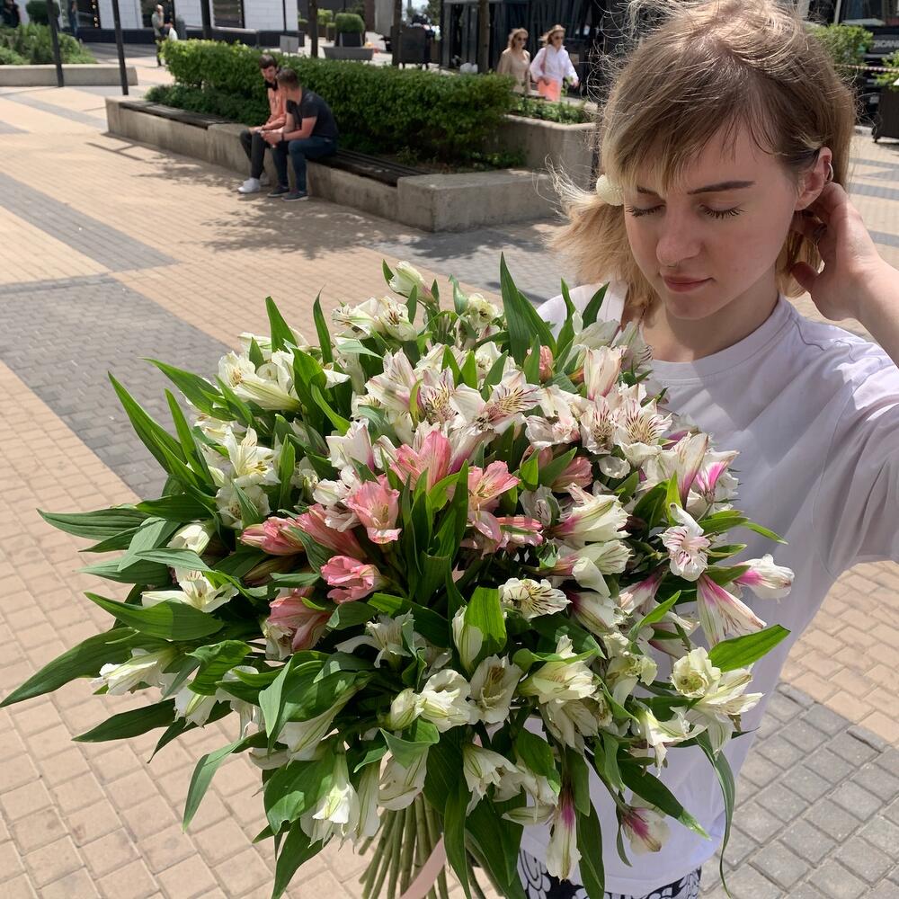 31 Альстромерия Перфекшн