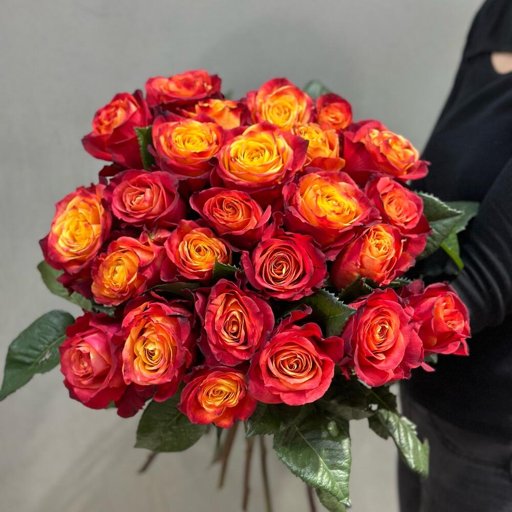 Роза Atomic 25 шт 60 см