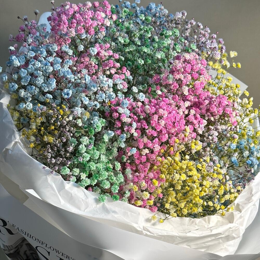 Большой моно букет из радужной гипсофилы