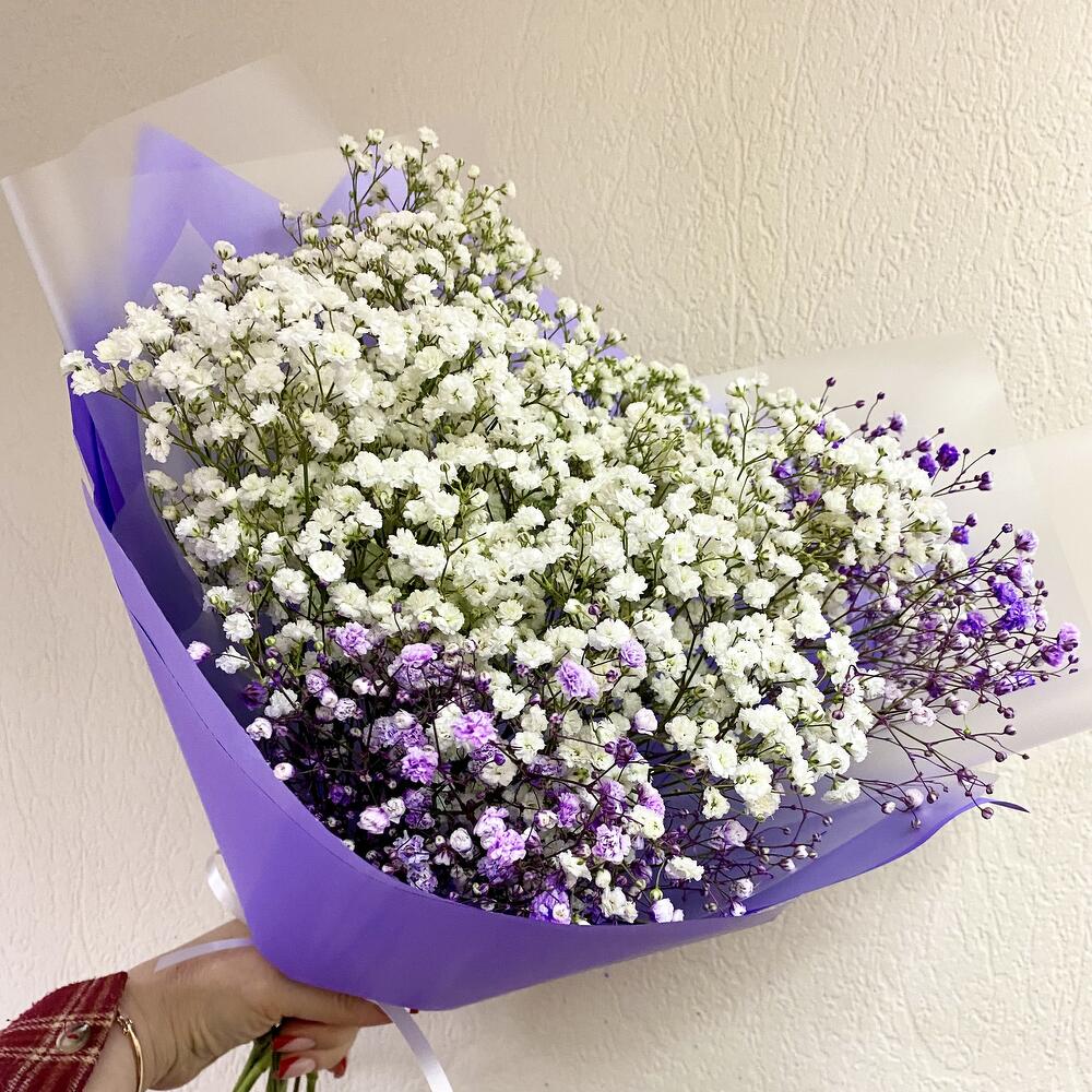 White liver from gypsophila