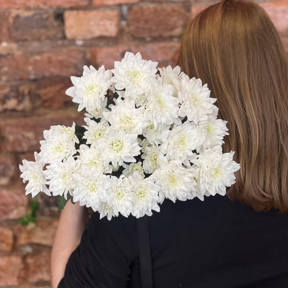 Букет из 5 белых хризантем n.r.50