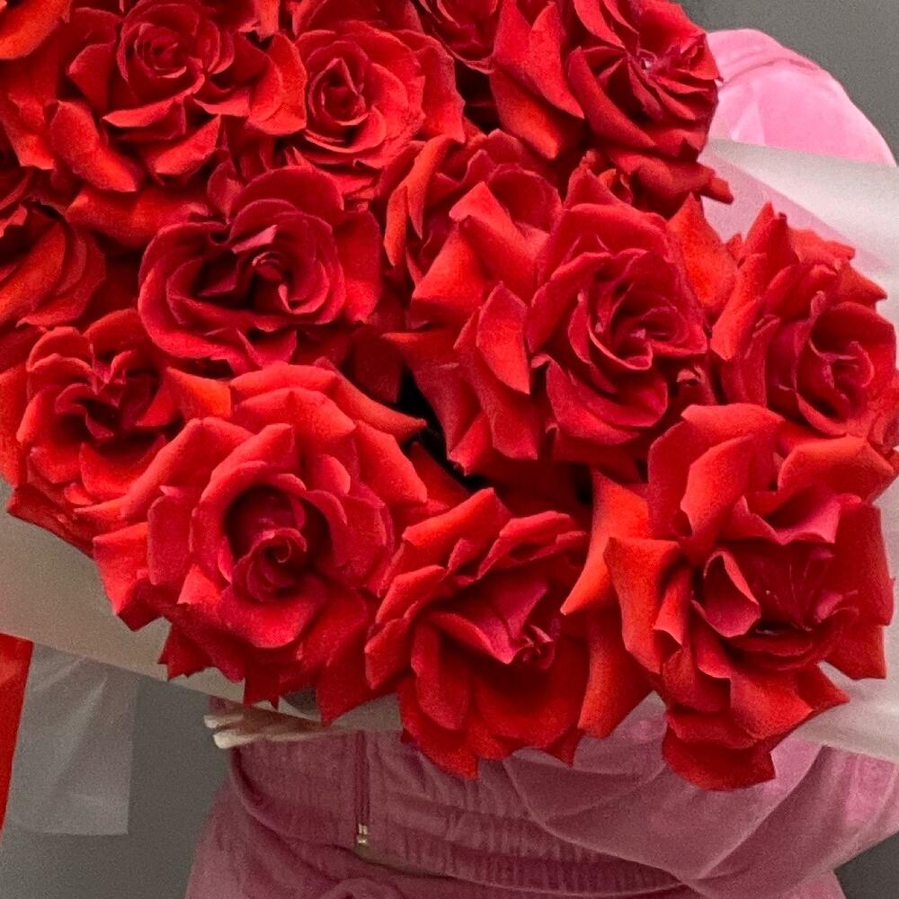 Французкая Роза Нина🔥🌹