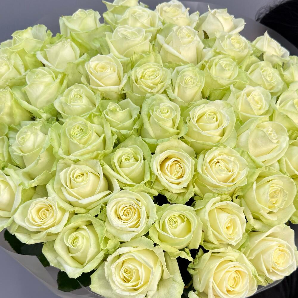 Букет из 51 белых роз ♥️