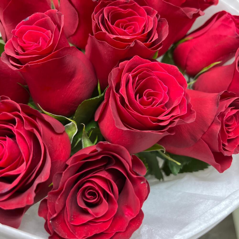 Моно из красной розы 15 штук 🌹