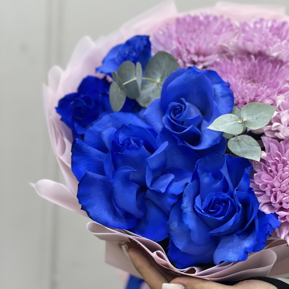 Blue   Purple
