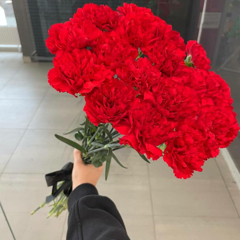 20 гвоздик красных