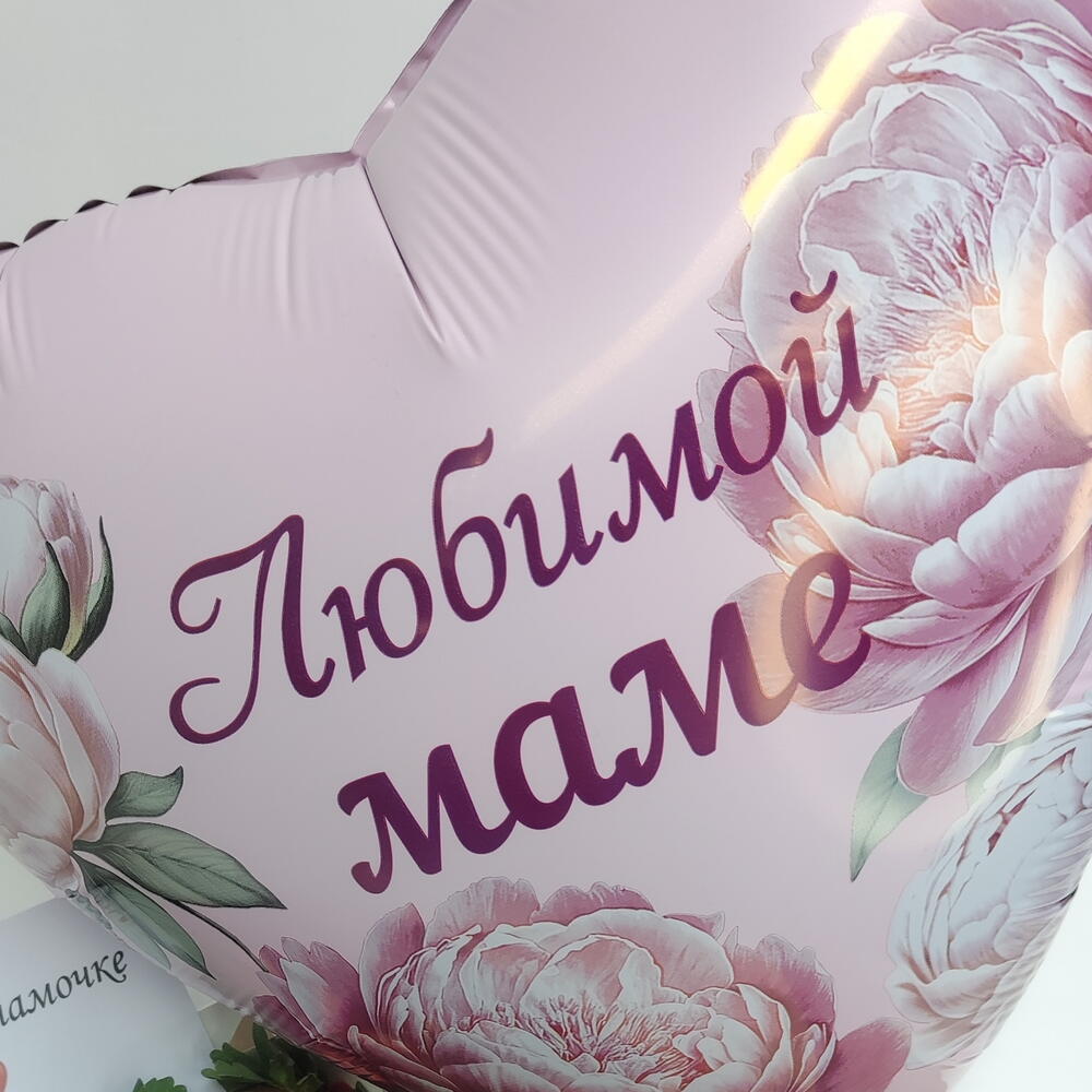 Набор "Любимчик "