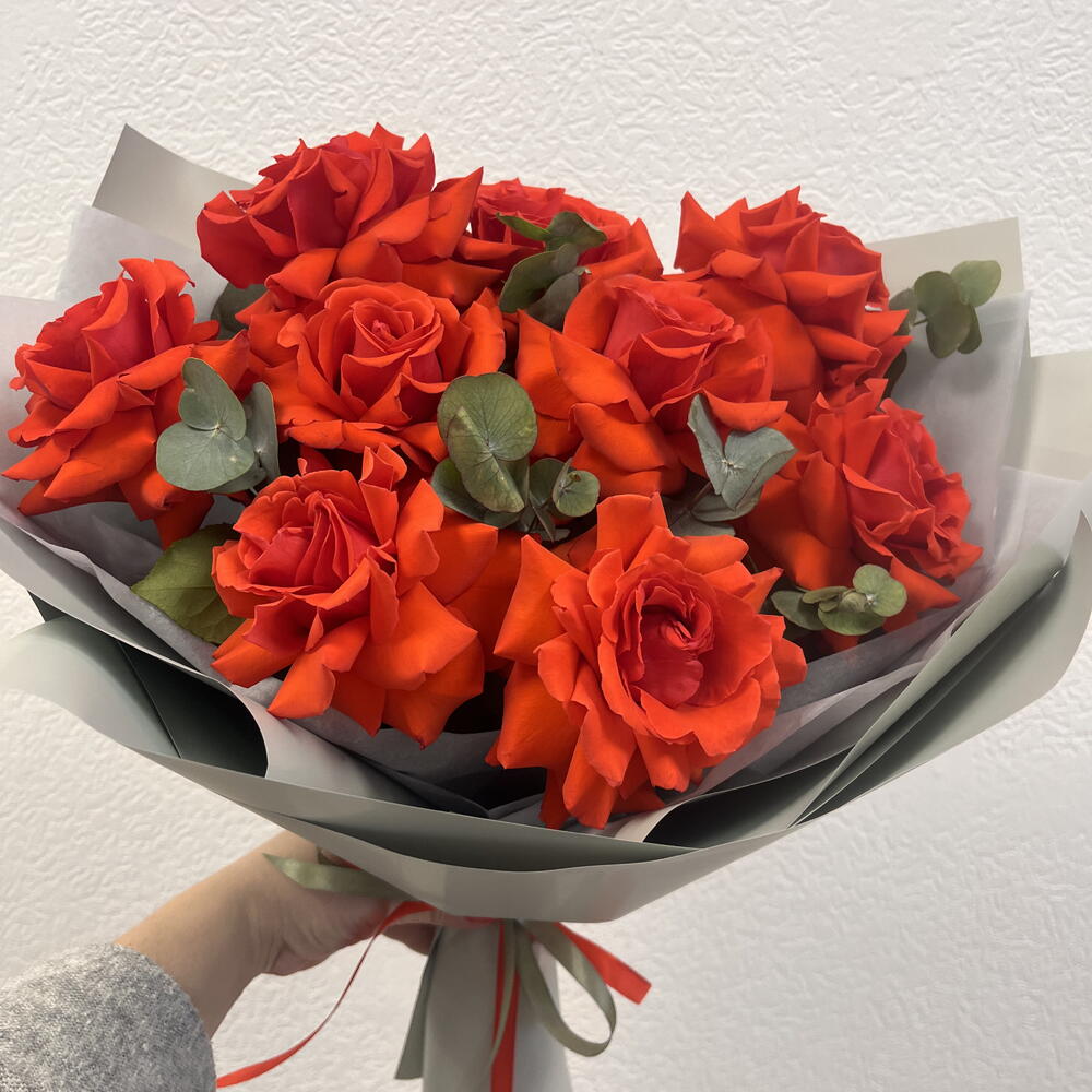Стойкие розы Нина️🌹️