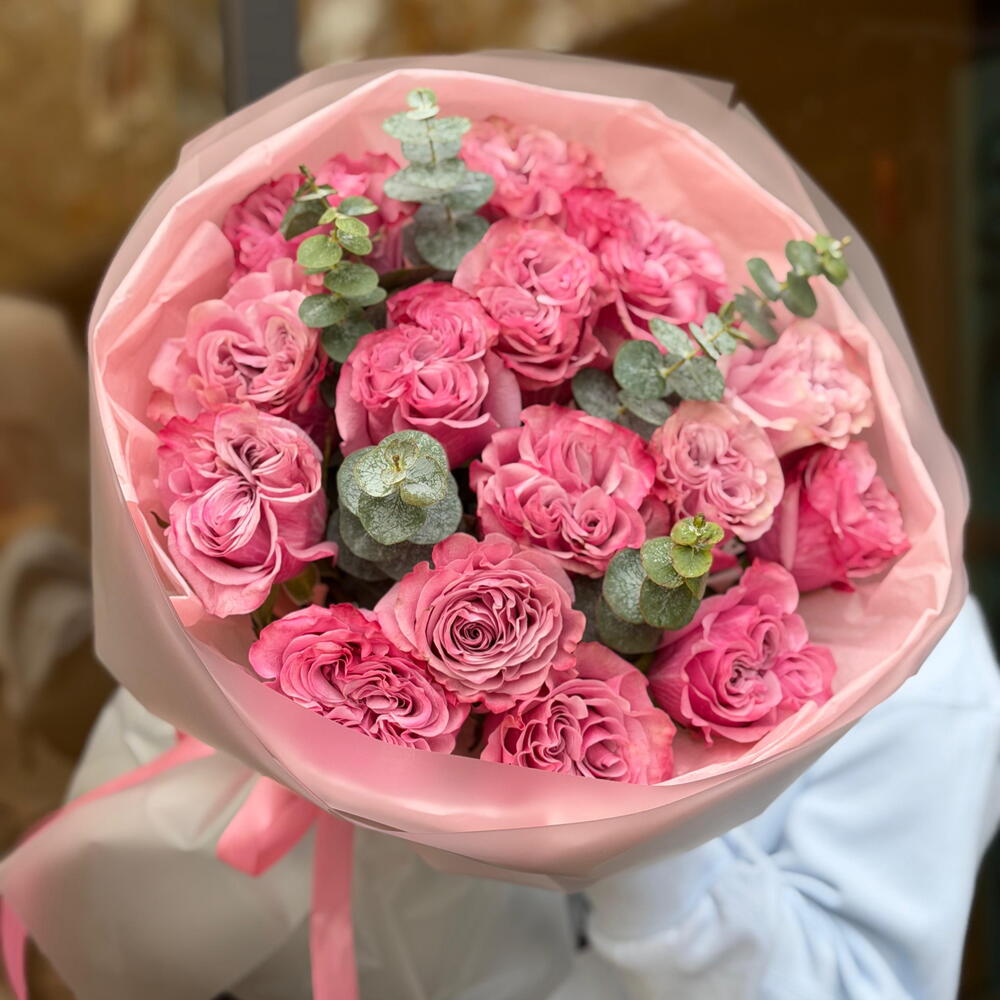 Pink Velvet Dream