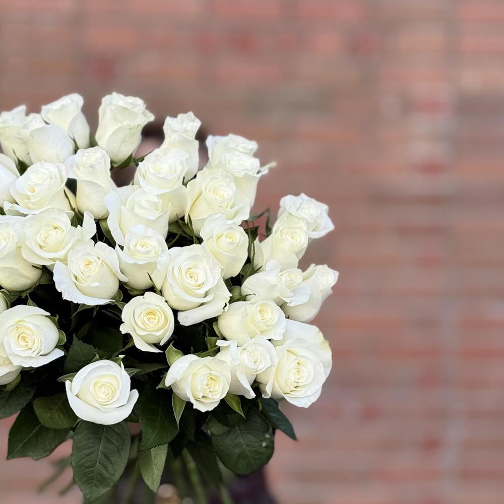 35 white roses with ribbon