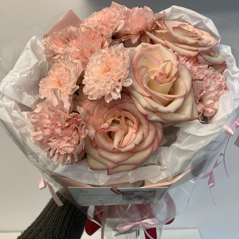 Coral   Pink Splash