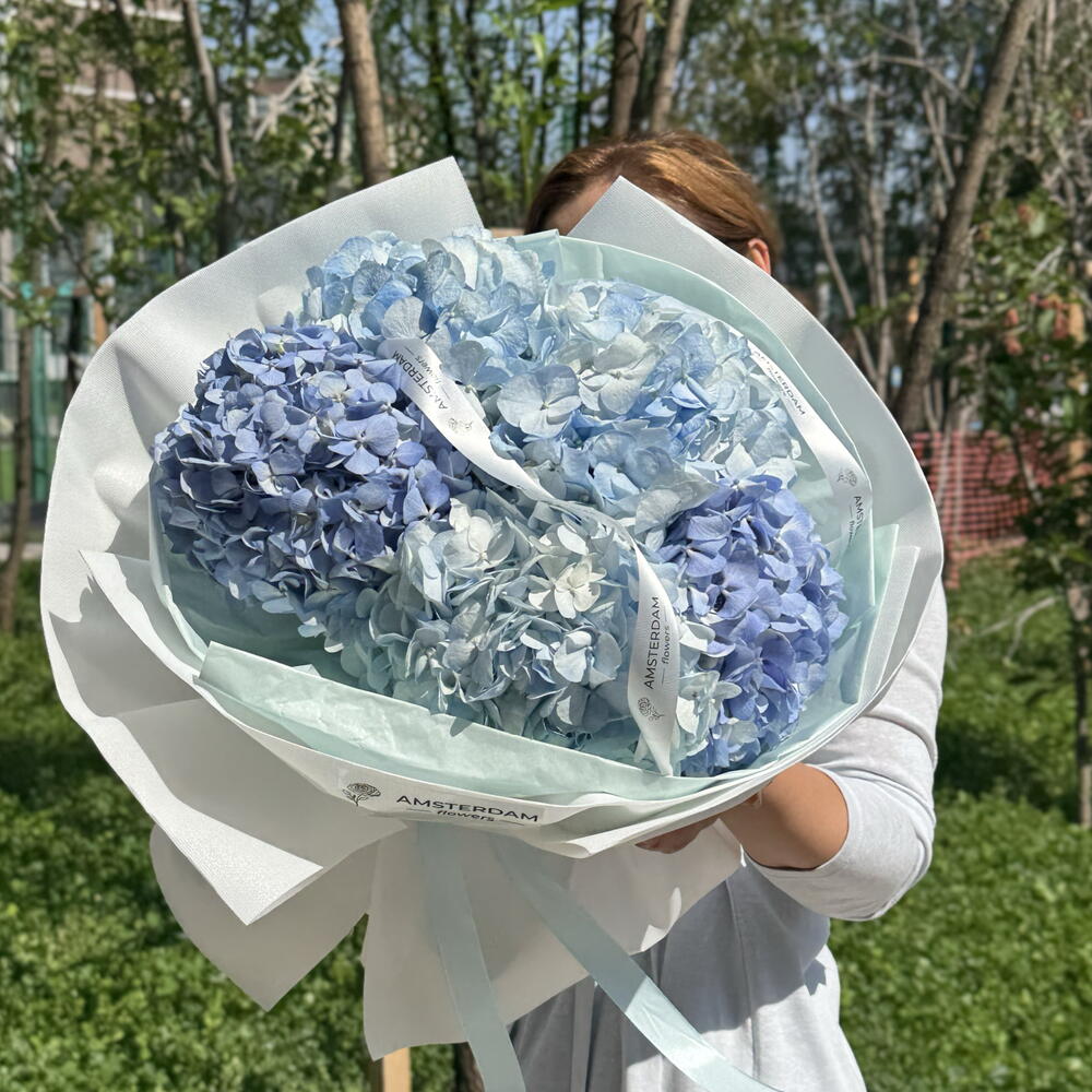 Воздушное облако из гортензий
