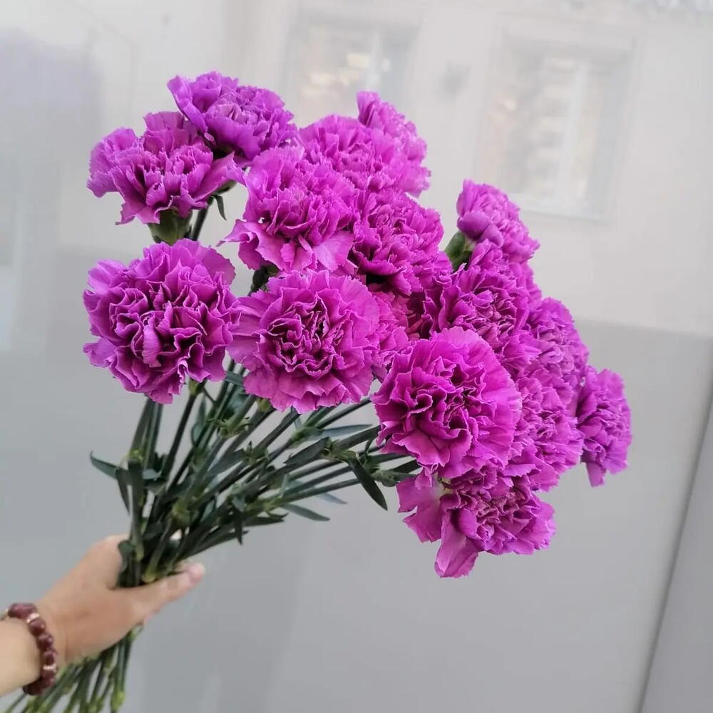 Гвоздика 15 штук