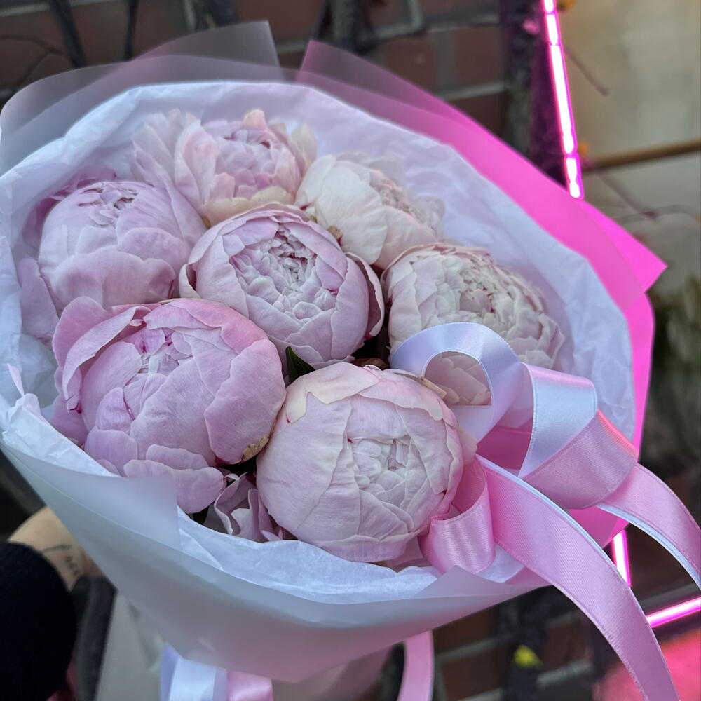 Пионы как пломбир 💕