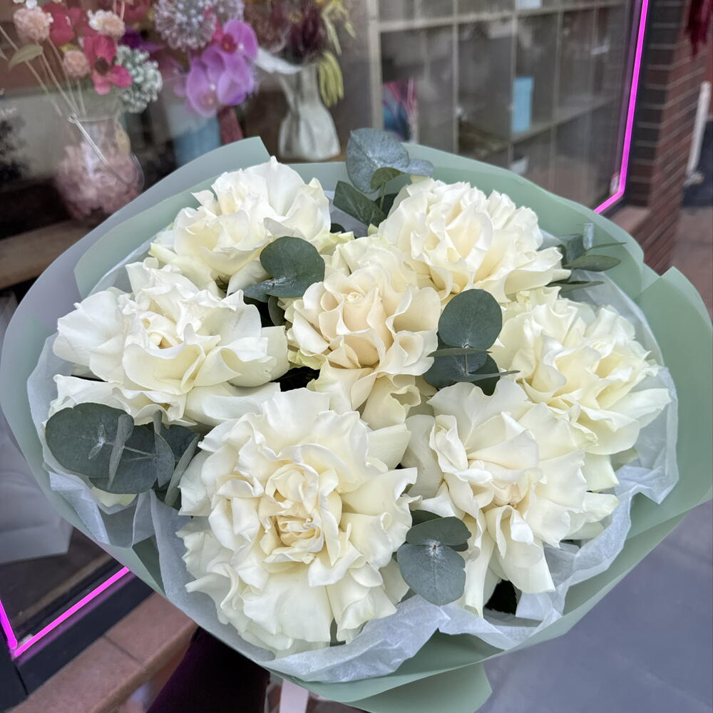 Фисташка 💚