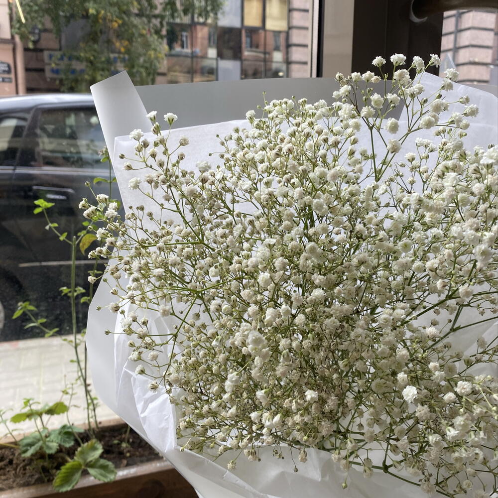 Монобукет из белой гипсофилы