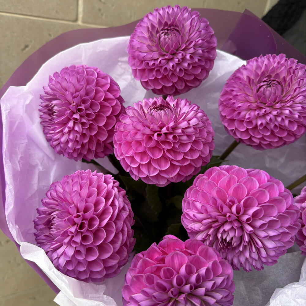 Букет георгин 💐