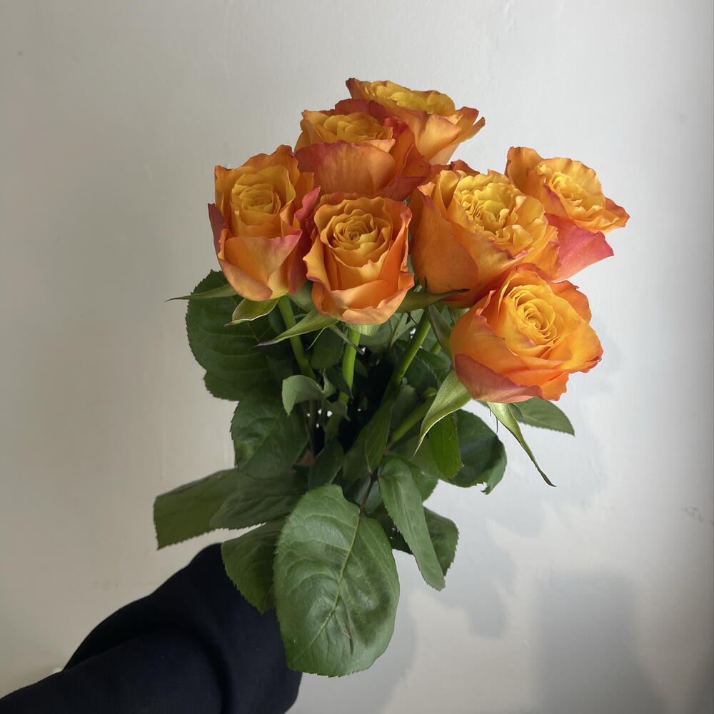 Розы рыжие 🧡7