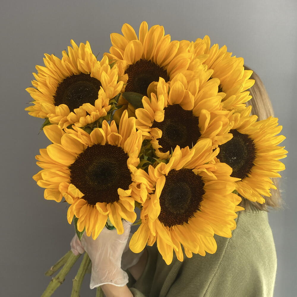 Монобукет солнечный 🌻 яркие подсолнухи 🌻🌻🌻 7 шт