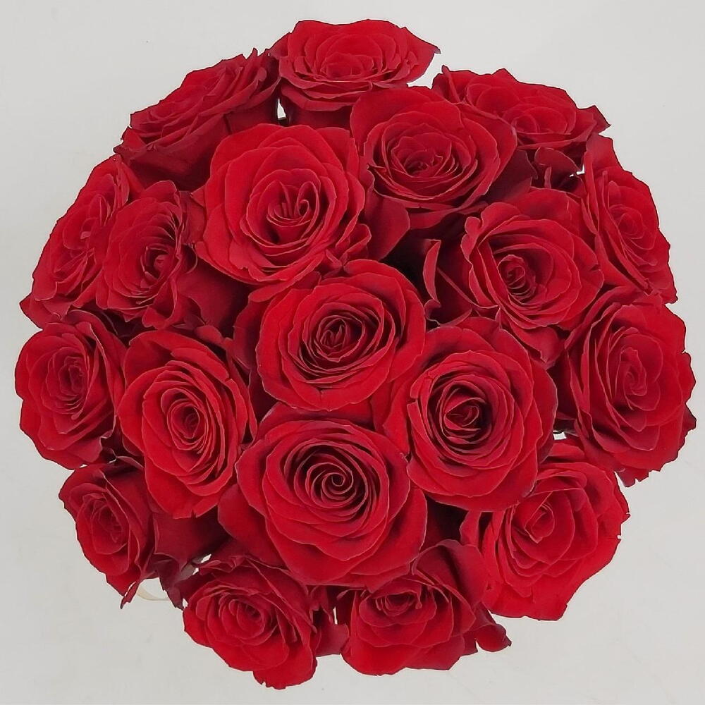 ✅  Красная Шапочка ХИТ 💐