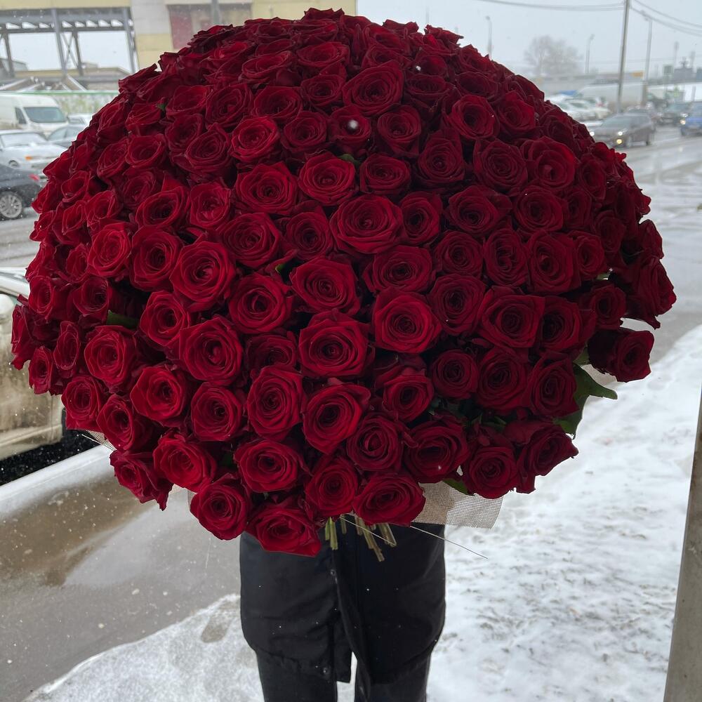 Алые розы