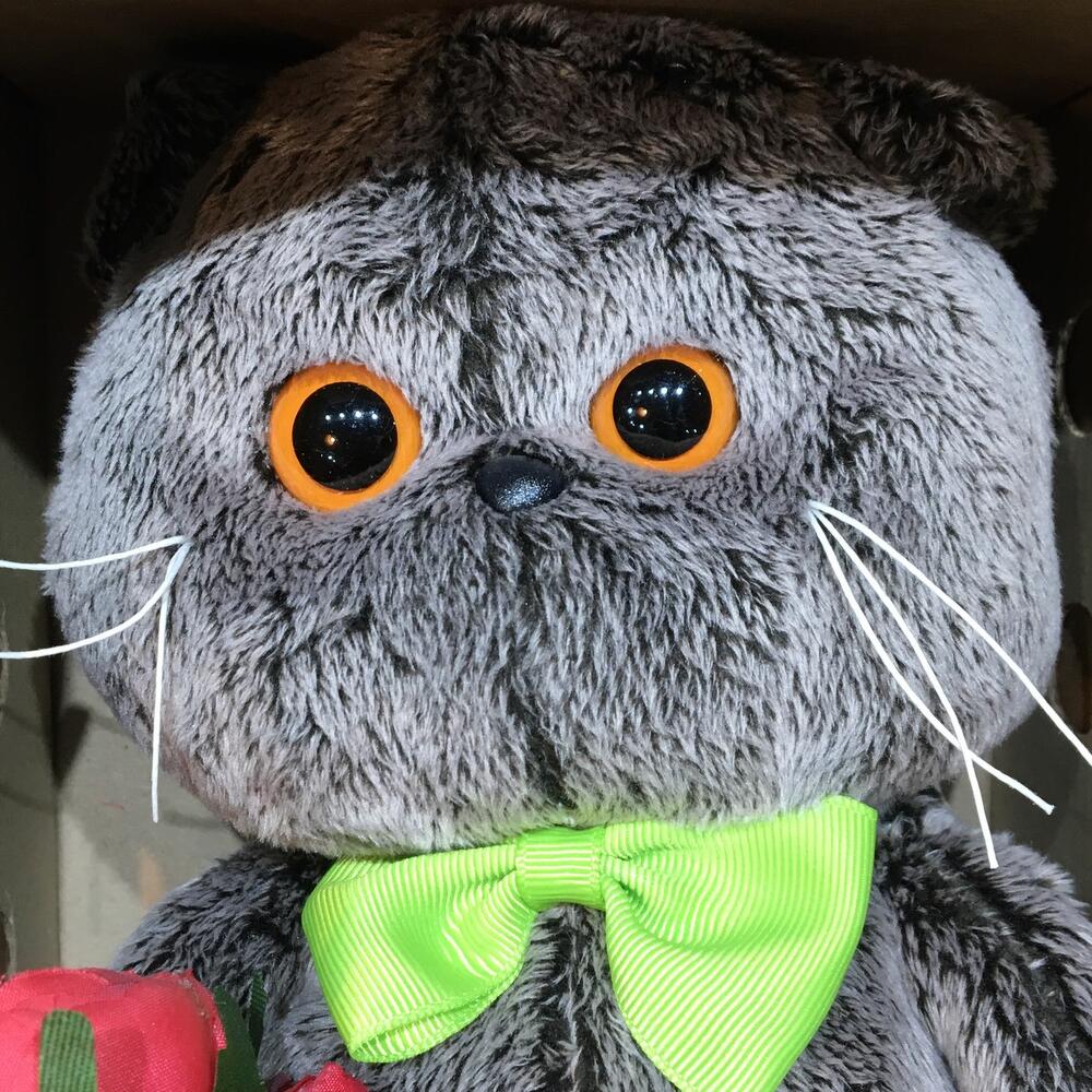 Кот Басик Джентельмен