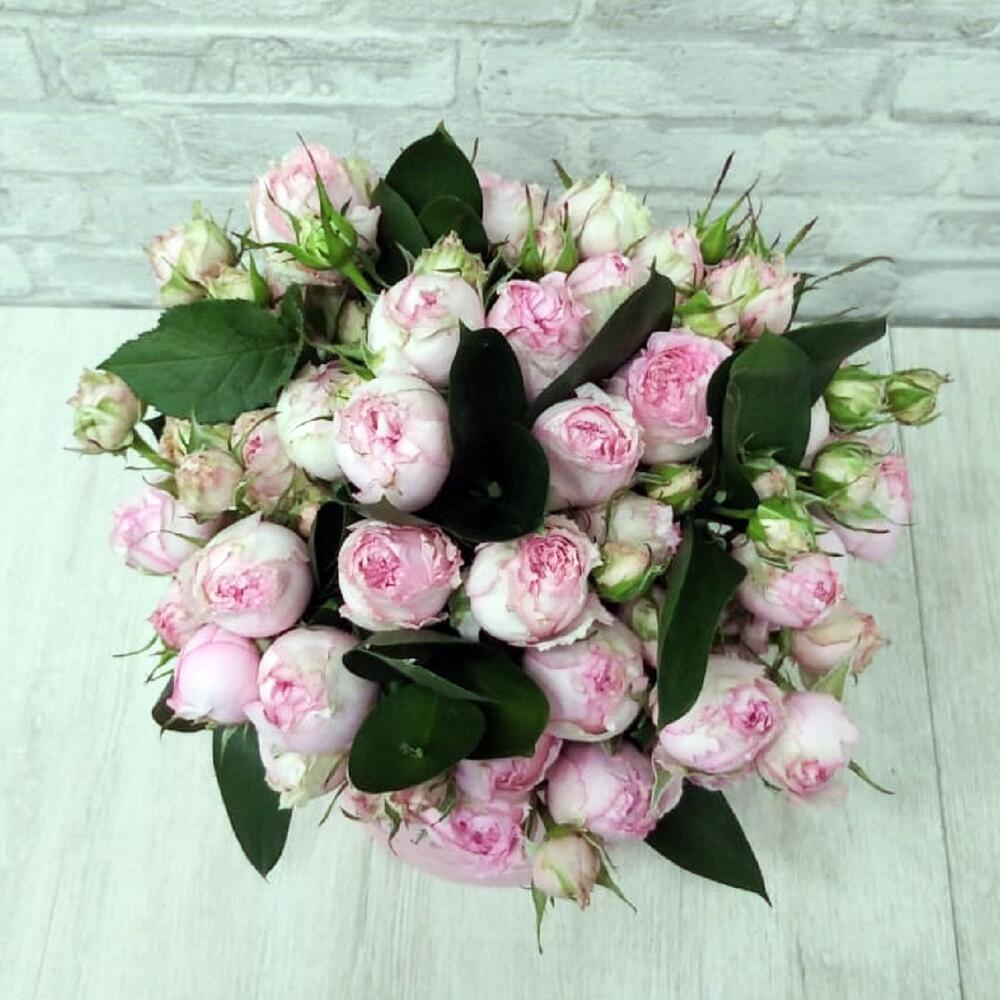 Garden Rose Mix