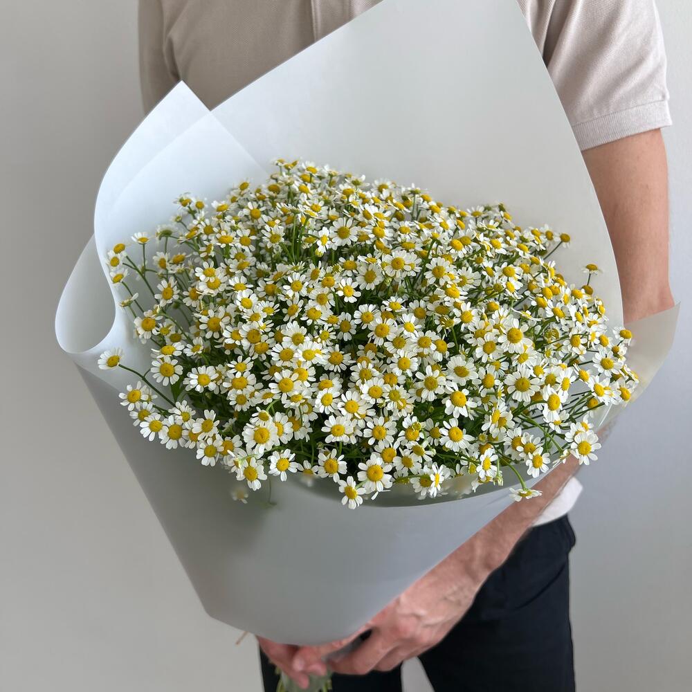 Ромашка 🌸