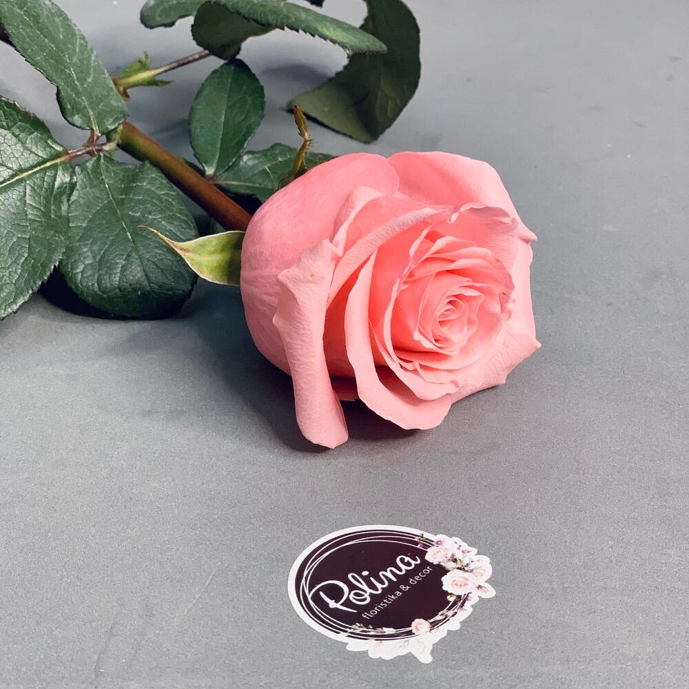 Роза «Be Sweet» 60 см