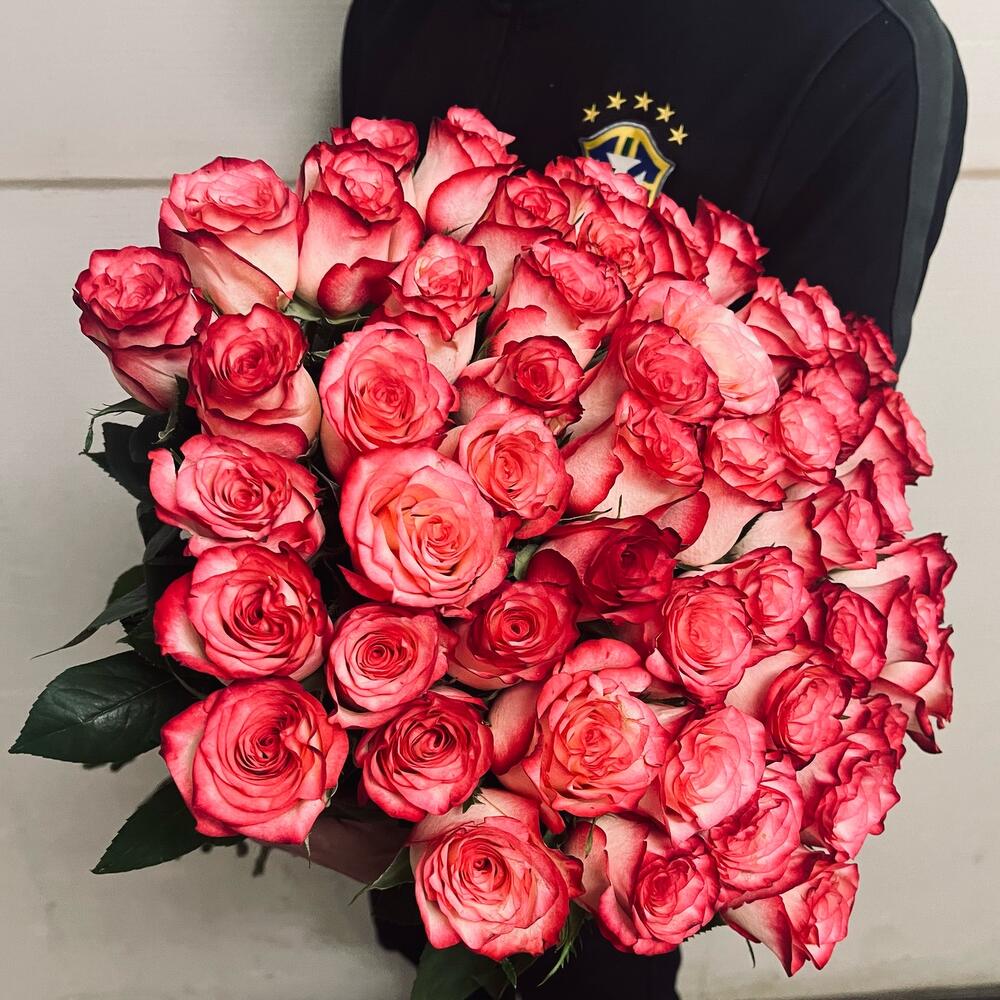 Розы 51  джумелия