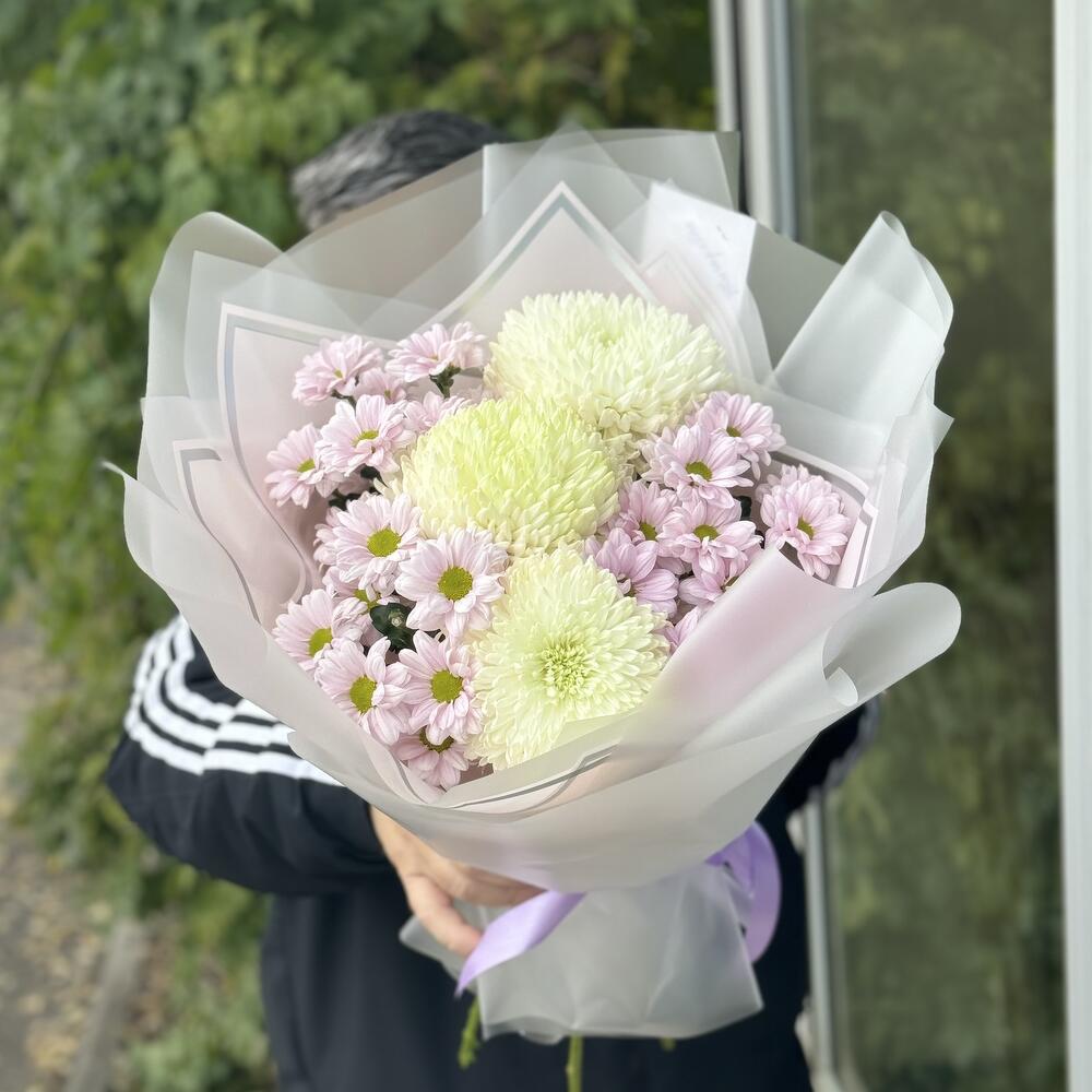 Хризантемы крупные и кустовые