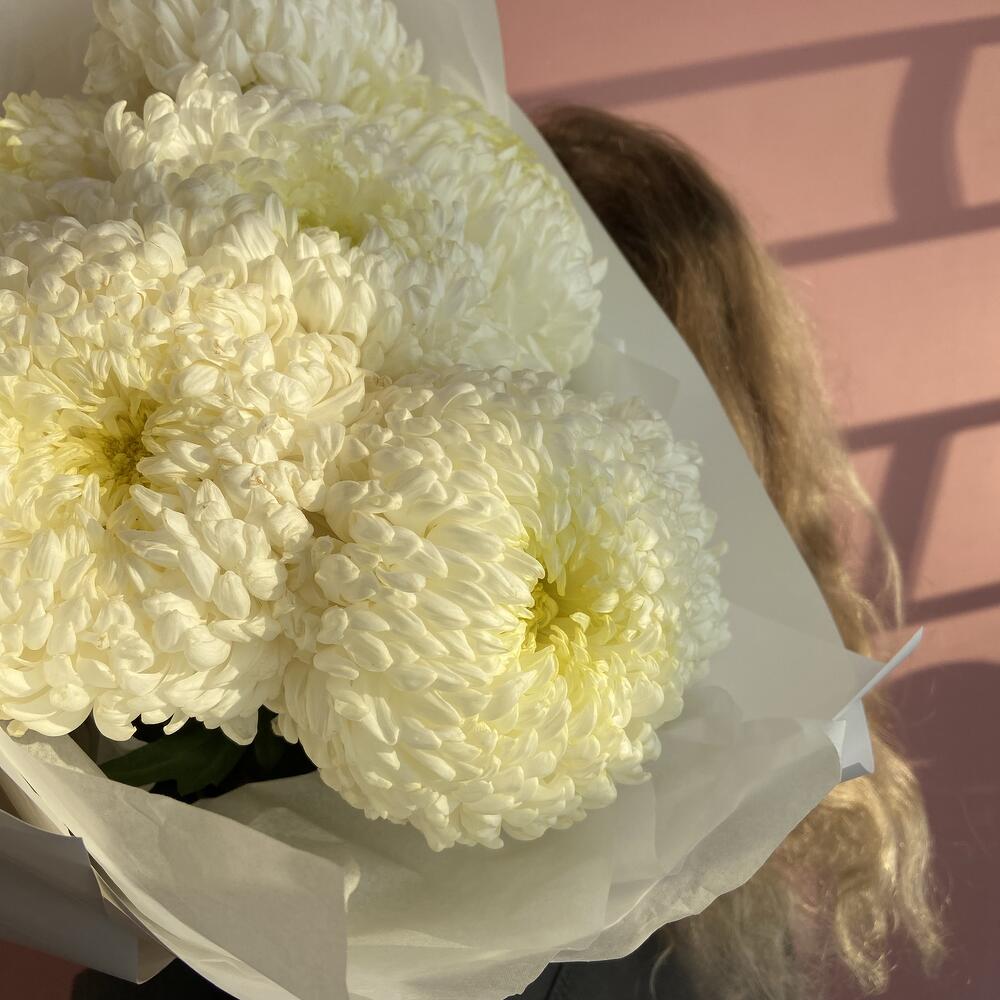 Букет из 9 белых хризантем