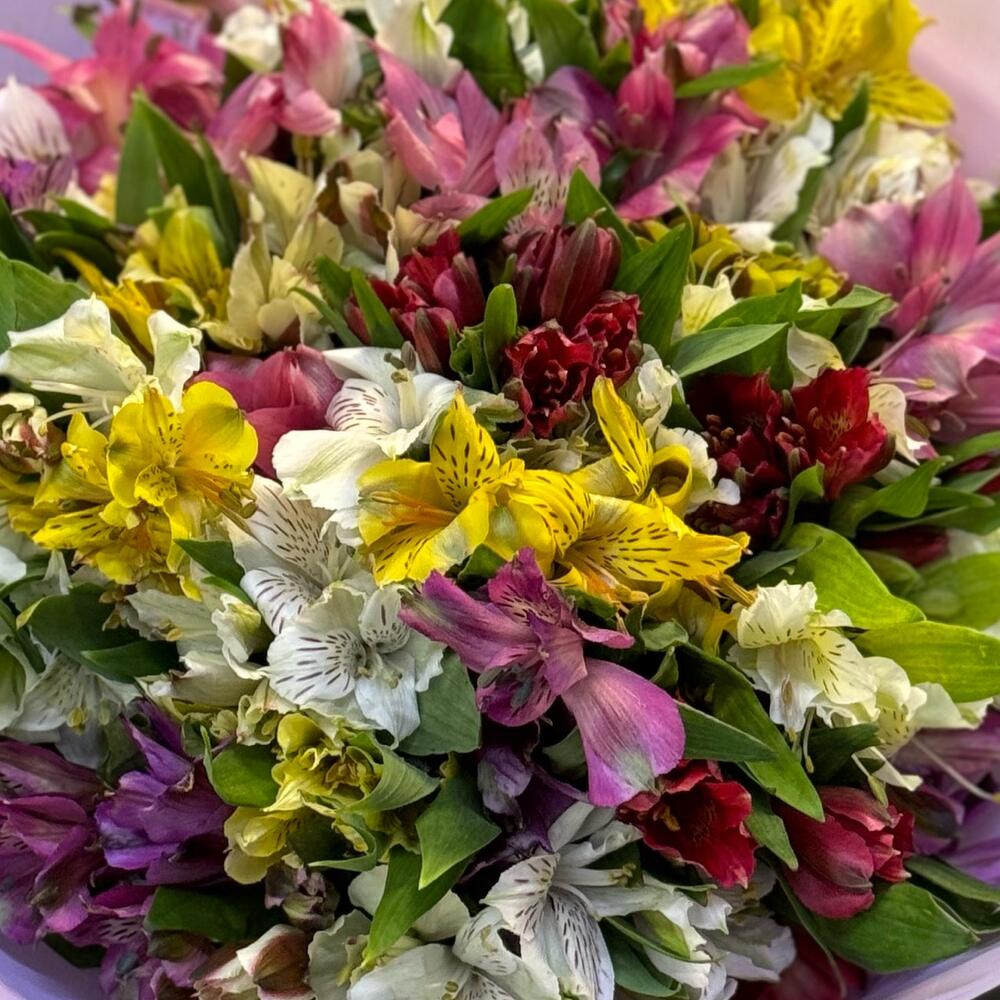 Альстромерия микс 35