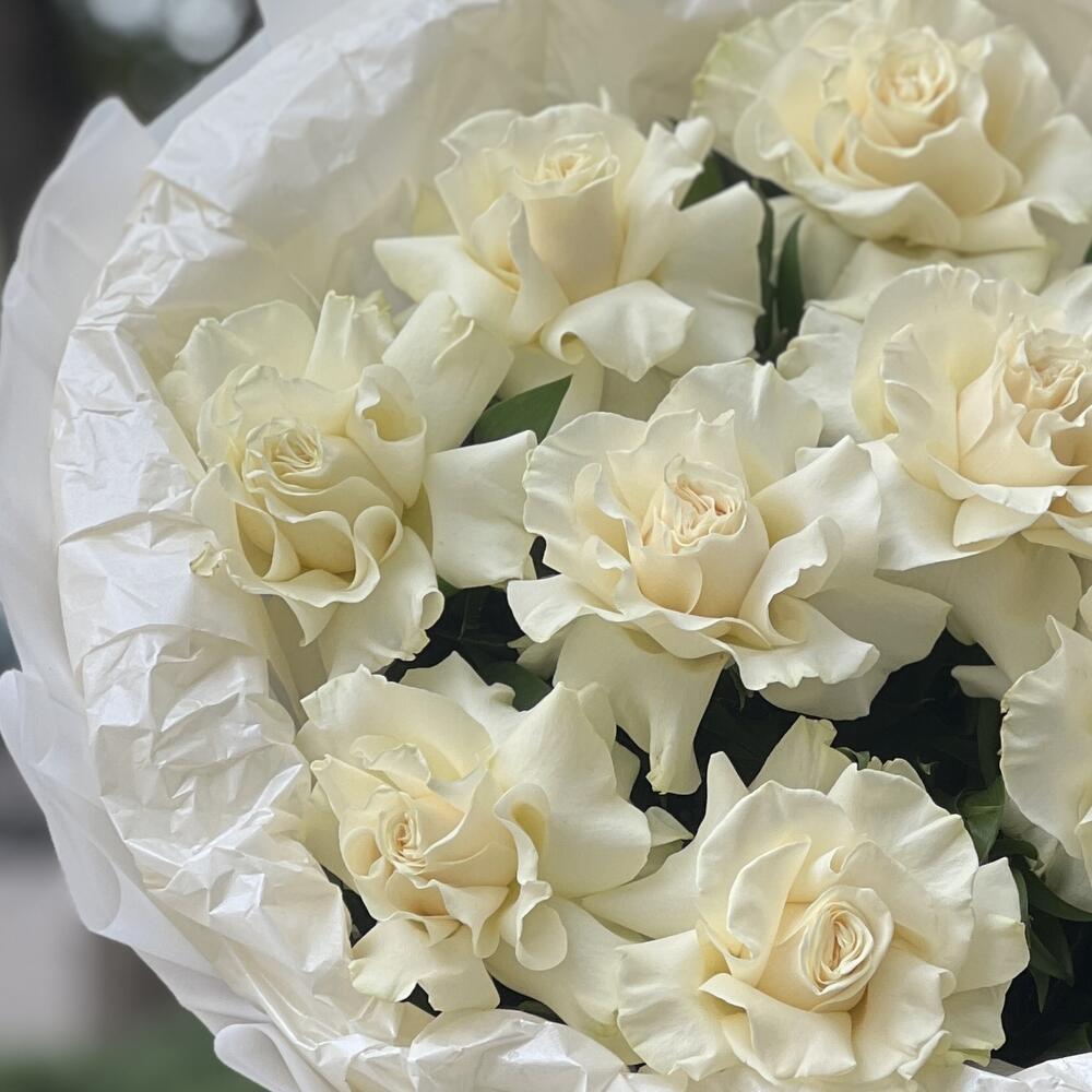 Holland Roses Bouquet N-012