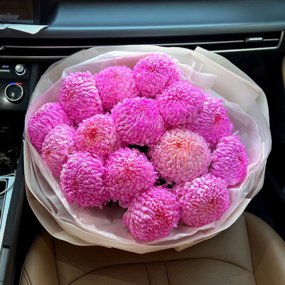 015 Mono Pom White