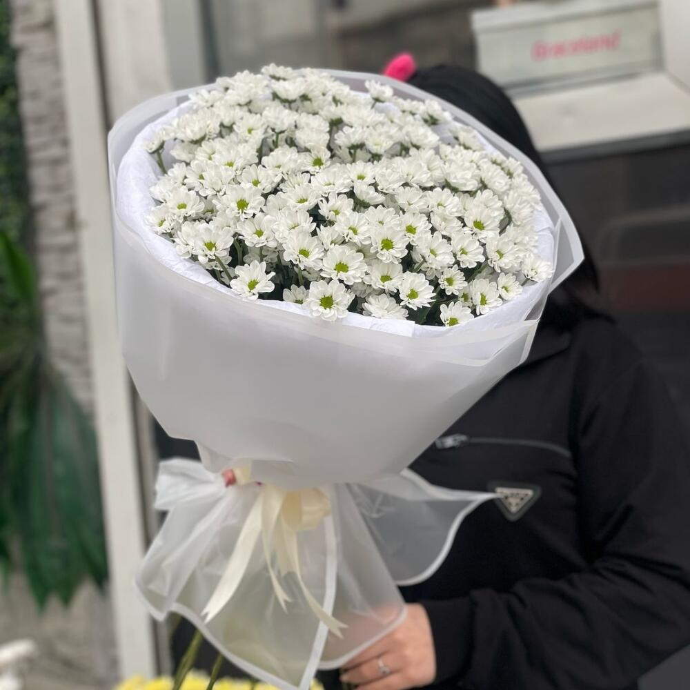 Хризантема кустовая 19 шт