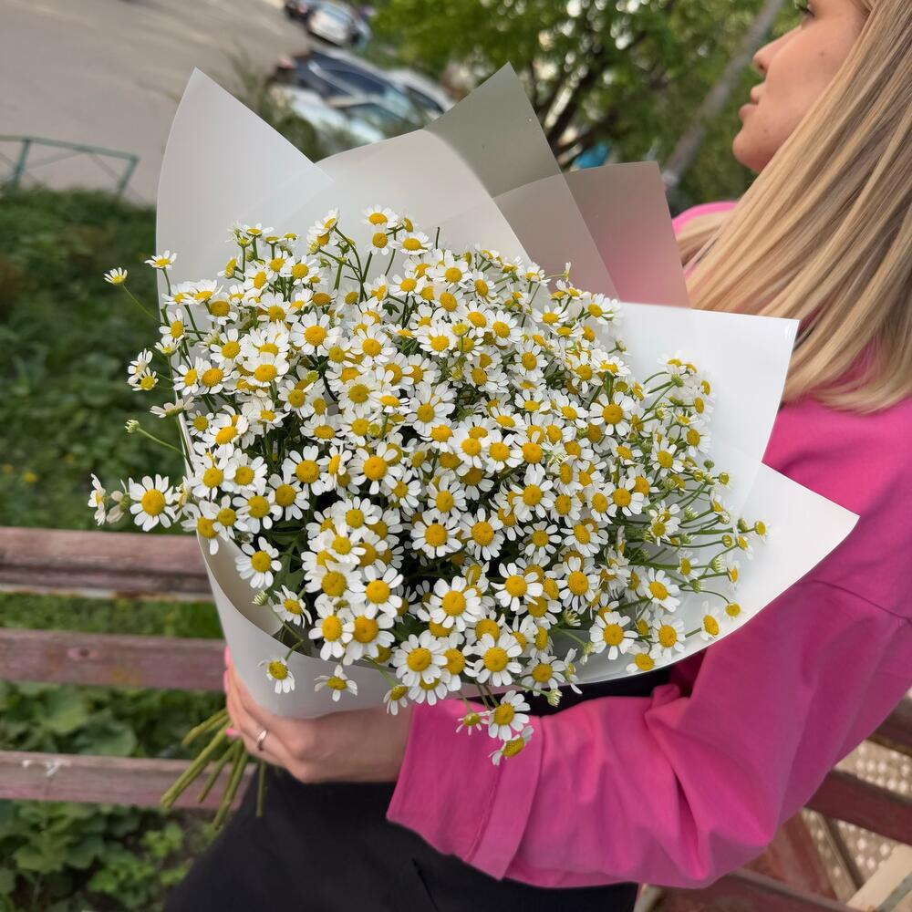 Букет из кустовых ромашек в упаковке