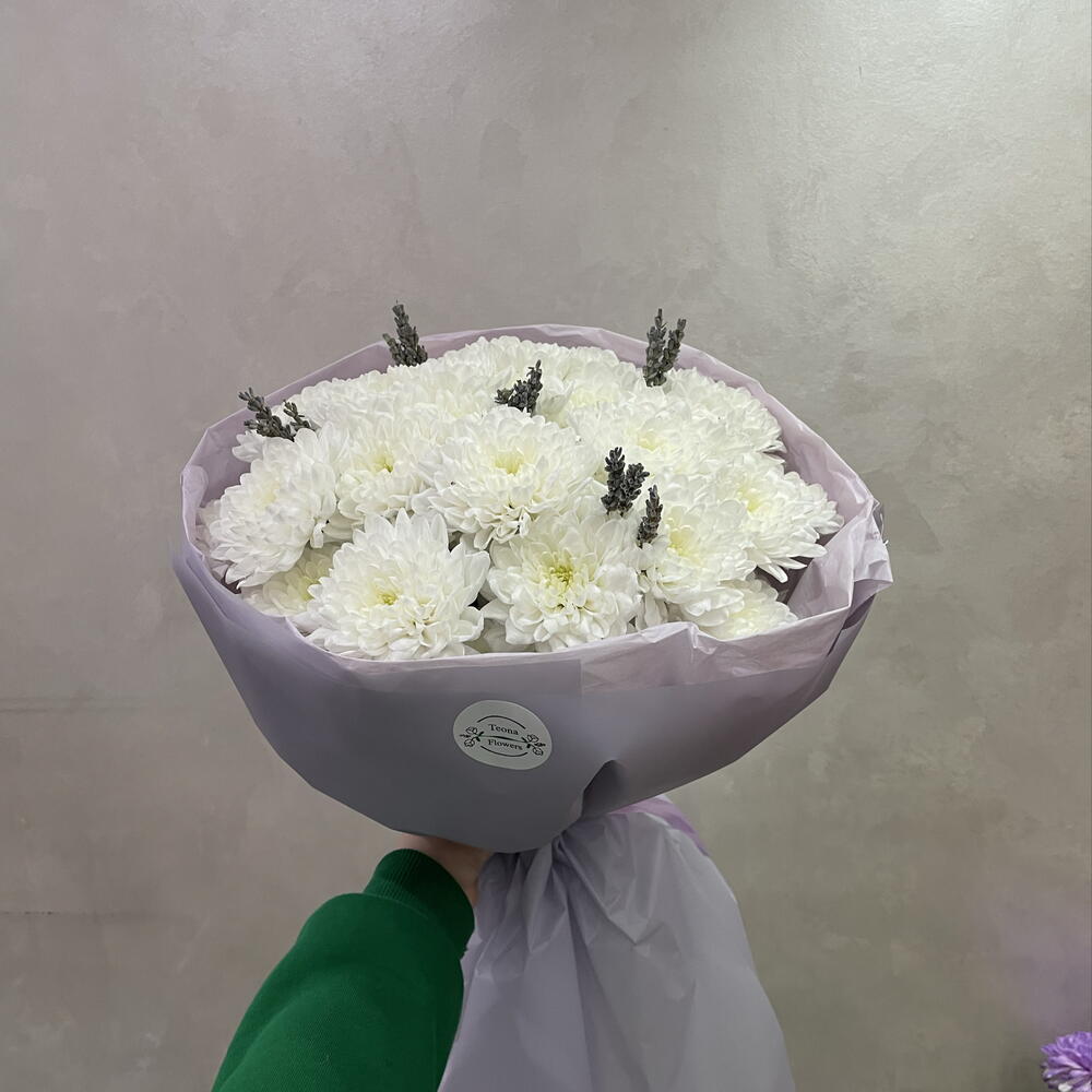 Прованс